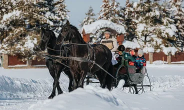 Zimą hotel zaprasza na przejazdy bryczką