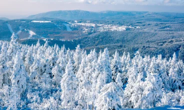Pytloun Wellness Hotel Hasistejn jest otoczony malowniczymi, górskimi lasami