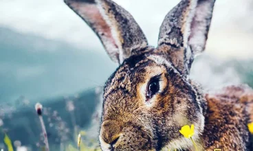 Tradycyjna Wielkanoc w Tatrach? Hotel Skalny zaprasza do Zakopanego