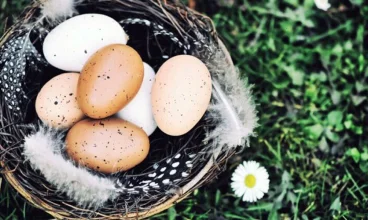 Wielki Błękit zaprasza na Wielkanoc ze smacznym jedzeniem i atrakcjami