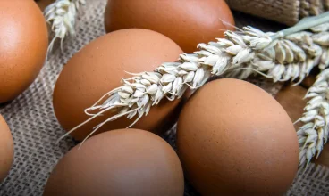 Zamień przedświąteczny pośpiech na prawdziwy odpoczynek w górach