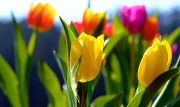 Wielkanoc w górach? Hotel Era zaprasza do Świeradowa-Zdroju