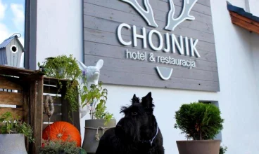 Chojnik to hotel przyjazny zwierzętom