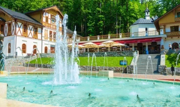 Otoczony parkiem zdrojowym hotel mieści się nieopodal pijalni wód