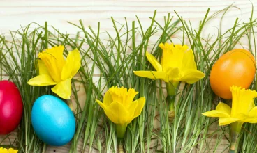 Geovita Dąbki zaprasza na wspólne malowanie pisanek i świąteczne śniadanie