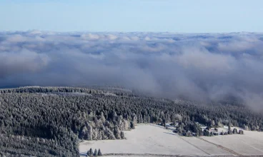 Hotel jest malowniczo położony pośród lasów w Rudawach Czeskich