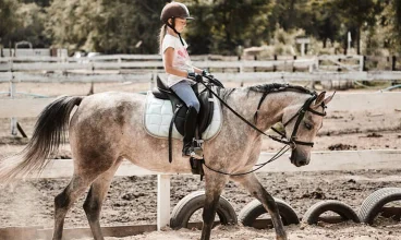 W Wierzbowym Ranczo można skorzystać z lekcji jazdy konnej