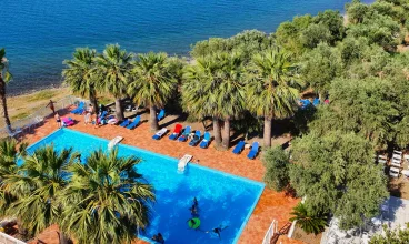 Hotel posiada sezonowy zewnętrzny basen z leżakami otoczony palmami