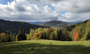 Wypocznij w lesie - na górskich szlakach i w hotelowej strefie wellness