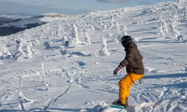 Najbliższy stok narciarski znajduje się zaledwie 600 m od Instytutu