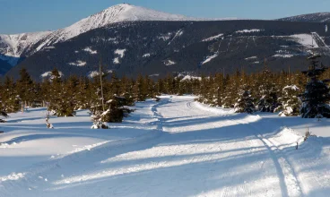 20 minut jazdy stąd mieści się Ski Resort Czarna Hora w Jańskich Łaźniach