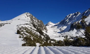 Można szusować w alpejskim klimacie
