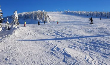 Panują tutaj znakomite warunki zimowe