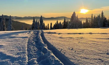 Milówka jest położona pomiędzy pasmami Beskidu Żywieckiego i Śląskiego