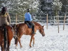 W Wierzbowym Ranczo można skorzystać z lekcji jazdy konnej