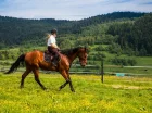 Stadnina i wspaniała okolica zachęcają do konnych przejażdżek
