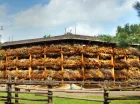 Tężnia solankowa znajduje się blisko obiektu