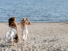 Goście cenią bliskość plaży i Bałtyku