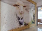 Także w budynku Residence nie brakuje gustownych podhalańskich akcentów