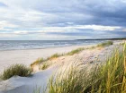 Tylko pas sosnowego lasu oddziela obiekt od szerokiej piaszczystej plaży