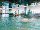 Wewnętrzny aquapark zaprasza gości przez cały rok