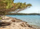 Piękna naturalna plaża na północnym brzegu wyspy Hvar