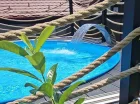 W ogrodzie mieści się basen zewnętrzny, jacuzzi i sauna