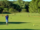 Na wyspie mieści się także rozległe pole golfowe