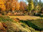 Drzewostan pałacowego parku liczy 300 lat