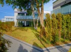 Na terenie apartamentów nie brakuje zieleni