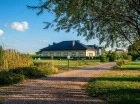 Na hotelowych terenach jest malowniczy staw