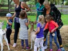 Na terenie obiektu znajduje się mini zoo