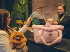 To hotel przyjazny psom w Białymstoku