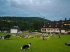 Latem przed hotelem są organizowane pokazy kina plenerowego