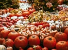Jesienną atrakcją resortu jest farma dyniowa (czynna 27.09-2.11.2025)