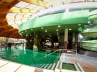 Kryty park wodny Aqua-Palace