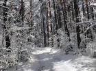 Jura Krakowsko-Częstochowska zachęca do aktywności w każdej porze roku