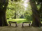 Hotel Bassiana sąsiaduje bezpośrednio z arboretum