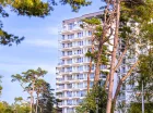 Wokół Porta Mare rosną nadmorskie sosny