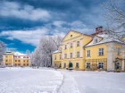 Mały Pałac w zimowej szacie