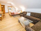 Apartament to studio z częścią dzienną, sypialną i aneksem kuchennym