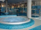 Hotel posiada rozbudowaną strefę wellness z basenami i jacuzzi